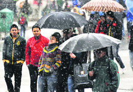 People out with their umbrellas after a spell of mild snowfall in Shimla on Thursday. 
