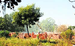 The land where a government school is to come up in Ludhiana