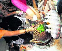 Desidents offer milk and flowers to a Shivlingam