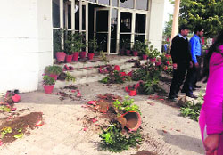 Protesting students smashed flowerpots at Dental College, Barwala, in Panchkula on Friday