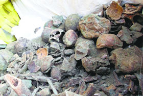 Skulls and bones and coins taken out of the well in Ajnala on Saturday.