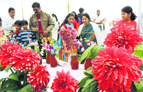 Visitors to a flower show organised at Leisure Valley Park in Gurgaon on Sunday.