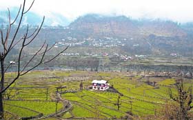 Treat for the eyes: A sublime retreat amid peaceful paddy fields on the banks of the Jhelum river in Uri, 100 km west of Srinagar