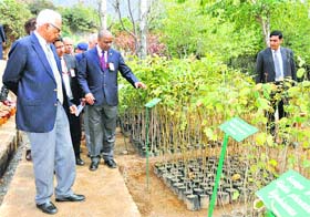 Governor NN Vohra inspects a nursery at Panthal in Jammu on Sunday