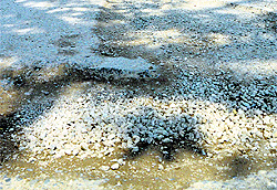 Road outside Ludhiana Club