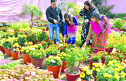 Visitors take a look at flowers at Gurdwara Singh Sabha, Sarabha Nagar, on Sunday