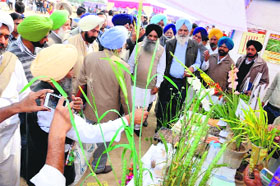 A view of the Kisan Mela held at Guru Kashi University where progressive farmers were honoured and agricultural implements were put on display.