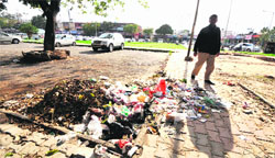 Garbage lies in the parking area of a market in Sector 32, Chandigarh. Tribune photo: Pradeep Tewari