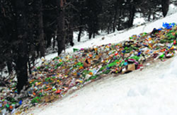 Plastic bags are seen in the garbage dump in Gulmarg. The bags, which were banned in Kashmir region five years ago, have sneaked back into the state. Tribune photo: Amin War