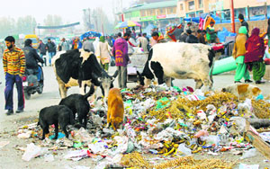 Garbage lies scattered on one of the main roads in Srinagar on Tuesday. 