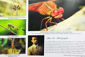 This years calendar of the Central University of Punjab, Bathinda, carrying the photographs clicked by former VCs son Arsh Rup Singh