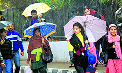 Pedestrians protect themselves from the rain with umbrellas in Jammu on Wednesday