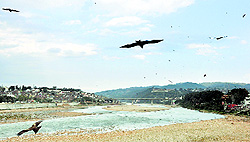 The Tawi river in Jammu that has dried up