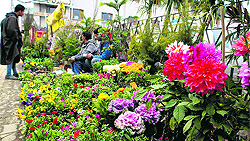 With the arrival of spring, vendors sell flowers on a roadside in Srinagar
