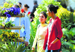 Girls enjoy sunny weather at Punjab Agricultural University in Ludhiana on Wednesday. 
