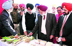 Participants look at the farm produce displayed at Kisan Mela in Naagkalan-Jahangir village on Thursday