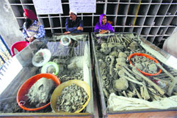 The remains of martyrs that were dug out in Ajnala. Tribune photo