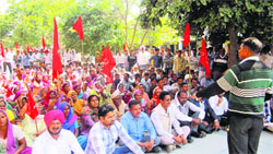 CPI activists protest against non-issuance of blue cards to deserving people at Mini Secretariat in Jalalabad on Thursday. A Tribune photograph