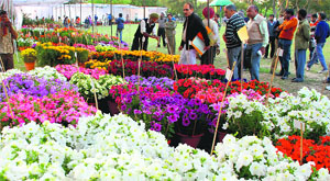 Officials review the arrangements for the 28th Spring Festival, which will begin on March 8, at HUDA Park in Sector 5, Panchkula, on Friday.