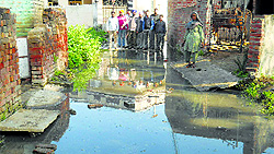 Sewage accumulated on the streets in Chanalon village in Fatehgarh Sahib on Friday