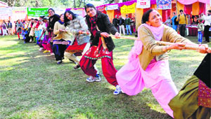 Women participate in a tug of war during a function on International Women's Day in Shimla on Saturday.