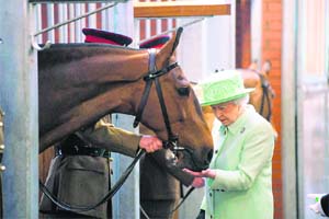 Britain's Queen Elizabeth puts her hand out to Harlequin, a horse she gave to The Kings Troop, during a visit to The Kings's Troop at Woolwich Barracks in southeast London
