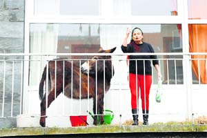 A donkey stands on the balcony of an apartment block as a woman argues with a police officer (unseen) in Brussels. The animal, which is part of a theatre show, has been banned from the balcony after neighbours complained