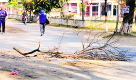 The caved-in portion of a road covered with a tree branch at GADVASU in Ludhiana.