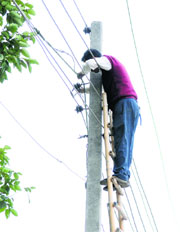 An employee repairs a power cable in Ludhiana on Tuesday.