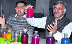 Brij Mohan Sharma, Secretary, Society of Pollution & Environmental Conservation, shows the sample of a herbal colour in Dehradun on Wednesday.