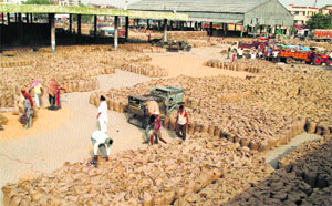 Nearly 90 per cent of the wheat in Punjab is stored in the open, mostly in sacks, with little cover. Tribune file photo