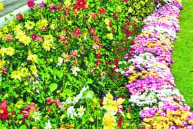 A view of a garden during the inspection inside the cantonment area on Wednesday