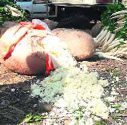 The spurious khoya seized in Dehradun on Friday