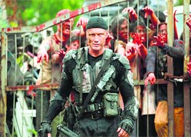 Wasted effort : Dolf Lundgren