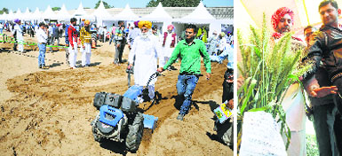 A farmer tries his hand at a farm machine on the first day of the Kisan Mela in Ludhiana on Friday; and (right) a farmer showcases a new variety of wheat. Tribune Photos: Himanshu Mahajan