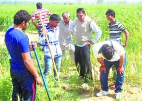 Wildlife Department officials and villagers look for pug marks at Kalwa village in Jind