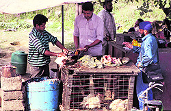 A view of slaughter houses being run in Jalandhar