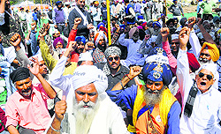 The AAP workers in Anandpur Sahib at Hola Mohalla on Sunday