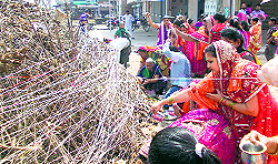 perform rituals in Abohar