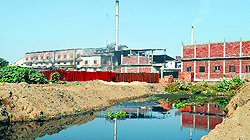 Dyeing units are discharging toxic chemical residues into Buddha Nullah
