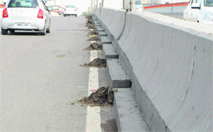 Garbage extracted from the drain passage lying along the berm of the elevated stretch of the Amritsar-Jalandhar Road. 