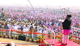 Shruti Choudhry is carrying forward the political legacy of her grandfather Bansi Lal and father Surender Singh
