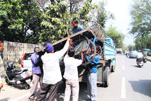 Dehradun Municipal Corporation employees remove encroachments from Rajpur road in Dehradun on Thursday. 