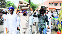 Farmers carry seeds at the Kisan Mela in Bathinda on Friday