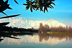 A boatman rows his boat on the Dal Lake in Srinagar