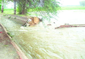A breach in Malukpura minor near Dhingawali village.