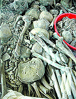 Remains of martyrs at the site