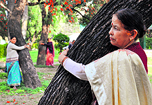 Women hug trees for giving the message of environment conservation on the occasion of the Chipko Movement anniversary at Gandhi Park in Dehradun on Wednesday