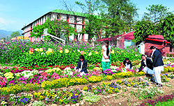 Students at a flower show organised at Sardar Bhagwan Singh Postgraduate Institute of Biomedical Sciences and Research at Balawala in Dehradun on Wednesday