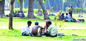 In the absence of any check by law-enforcing agencies, public parks have become an ideal place for gamblers and drug addicts in Ludhiana.